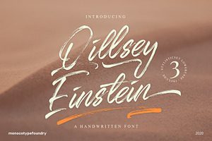 Qillsey Einstein - Handbrush
