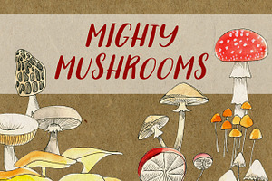 Mighty Mushrooms Watercolor Clip Art
