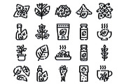 Oregano herb plant food condiment, an Object Graphic by pikepicture (Thumbnail 2 of 3)