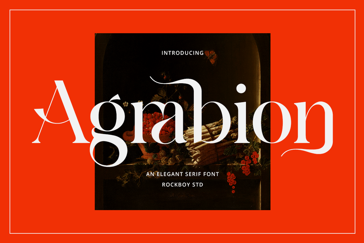Agrabion - Elegant & Stylish Serif, a Serif Font by RockboyStd (Photo 1 of 12)