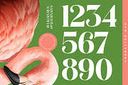 Manile Vintage Modern Bold Serif, a Serif Font by timelesstype.co (Thumbnail 13 of 20)