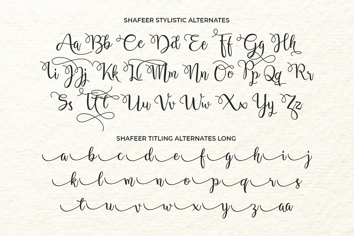 Shafeer, a Script Font by Abo Daniel Studio (Photo 12 of 15)