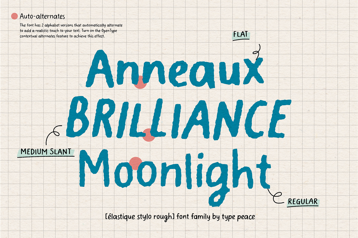 Elastique Stylo Rough - 10 Fonts, a Sans Serif Font by type peace (Photo 4 of 16)