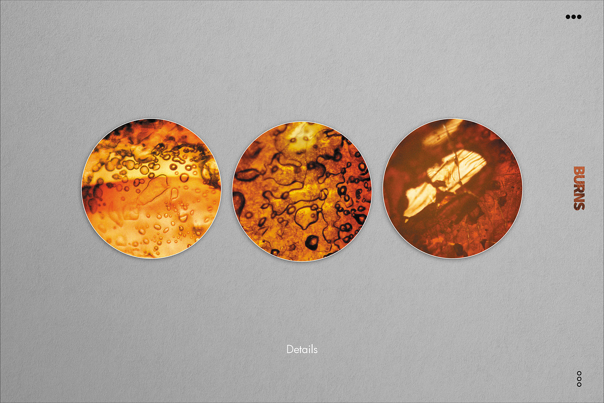 BURNS | 60+ Real Analog Film Burns, a Brushes & More by CUDOS (Photo 15 of 16)