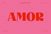 Brusnica - Retro Serif Font, a Serif Font by BilberryCreates (Thumbnail 5 of 17)