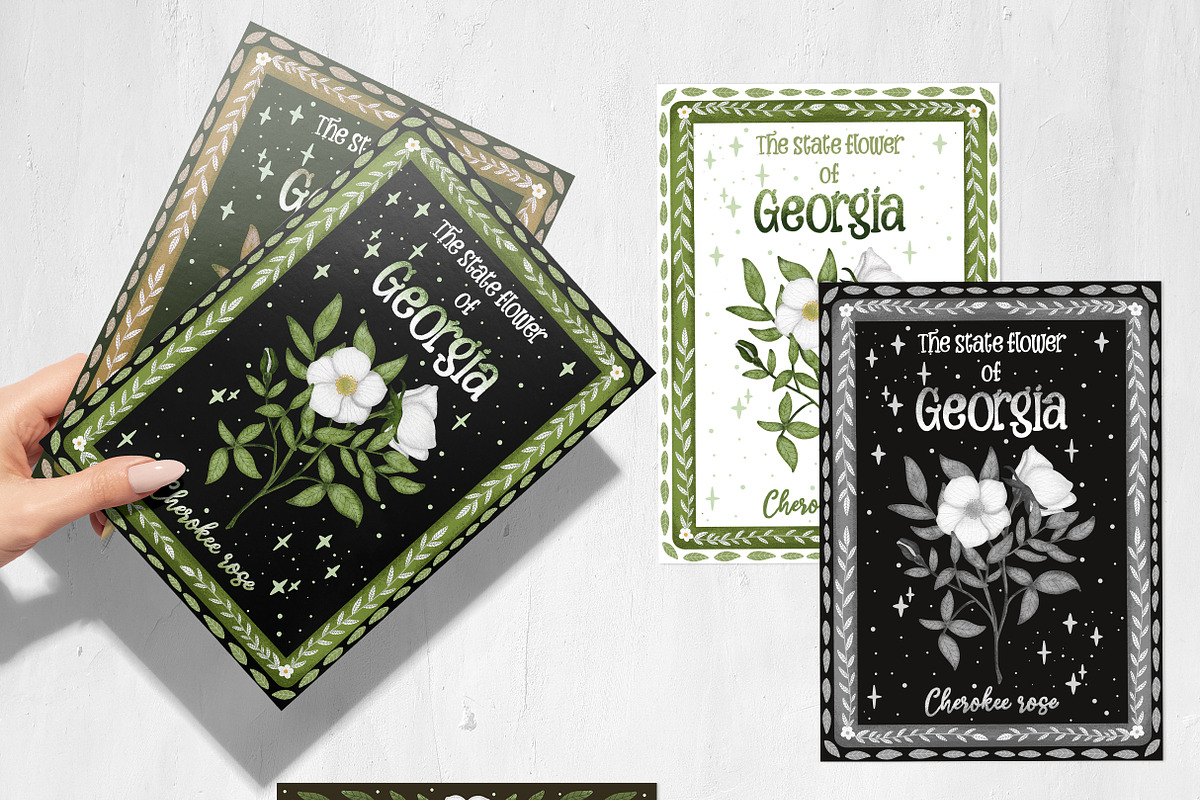 Cherokee rose clipart pattern set, a Decorative Illustration by Yelloo Fish (Photo 14 of 21)