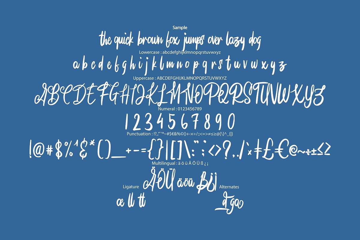 Alodega Modern Script, a Script Font by Fannan Studio (Photo 6 of 6)