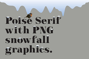 Poise Serif Font With PNG Snowfalls