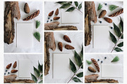 22 Autumn/Winter Flat Lay Photos, a Nature Photo by Helga Wigandt (Thumbnail 4 of 5)
