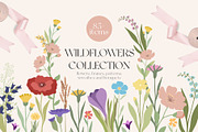 Wildflowers Graphic Collection, an Illustration by Alina Sh (Thumbnail 1 of 8)