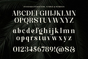 Paradise Spring - Soft Elegant Serif, a Serif Font by Shakira Studio (Thumbnail 9 of 10)