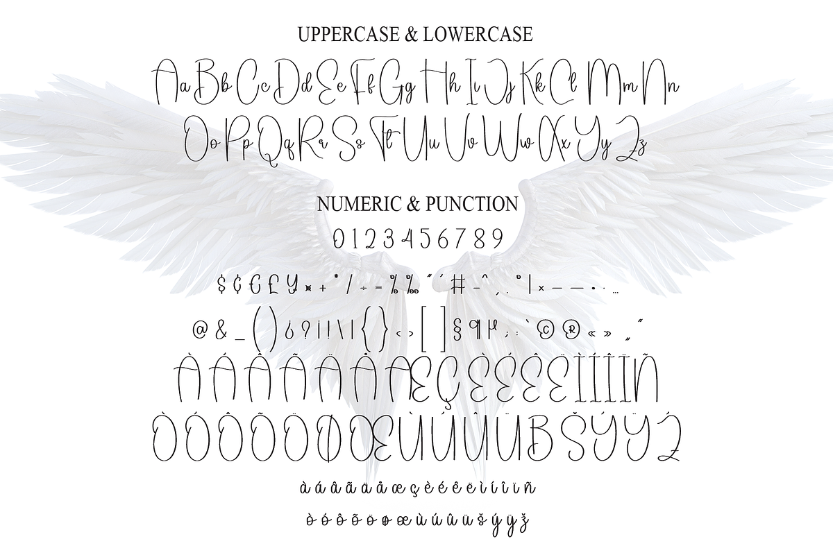 Angel Wings | Script Font, a Handwritten Font by Scratchones (Photo 7 of 9)