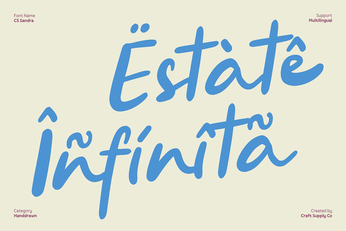 CS Sandra – Handwritten Script Font, a Script Font by Craft Supply Co. (Photo 5 of 8)