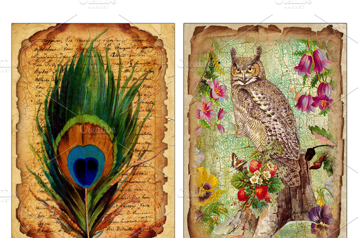 Vintage paper, feathers & owls cards, an Object Graphic by DidiArtWorld (Photo 3 of 3)