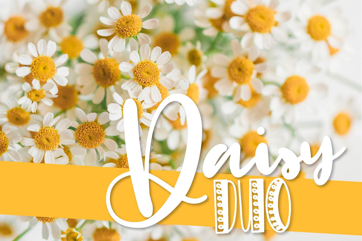 Daisy Duo - Script & Print Fonts