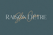 Regiola Font Duo, a Serif Font by Lucky Type (Thumbnail 8 of 14)