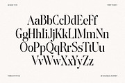 The Andalucia Serif, a Serif Font by Pista Mova (Thumbnail 15 of 26)