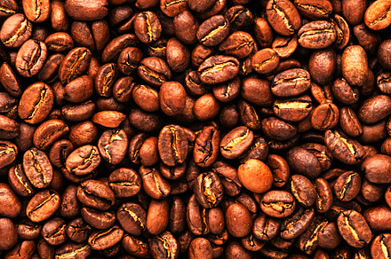 Coffee beans, food background and texture from freshly roasted a, a Food & Drink Photo by 5PH