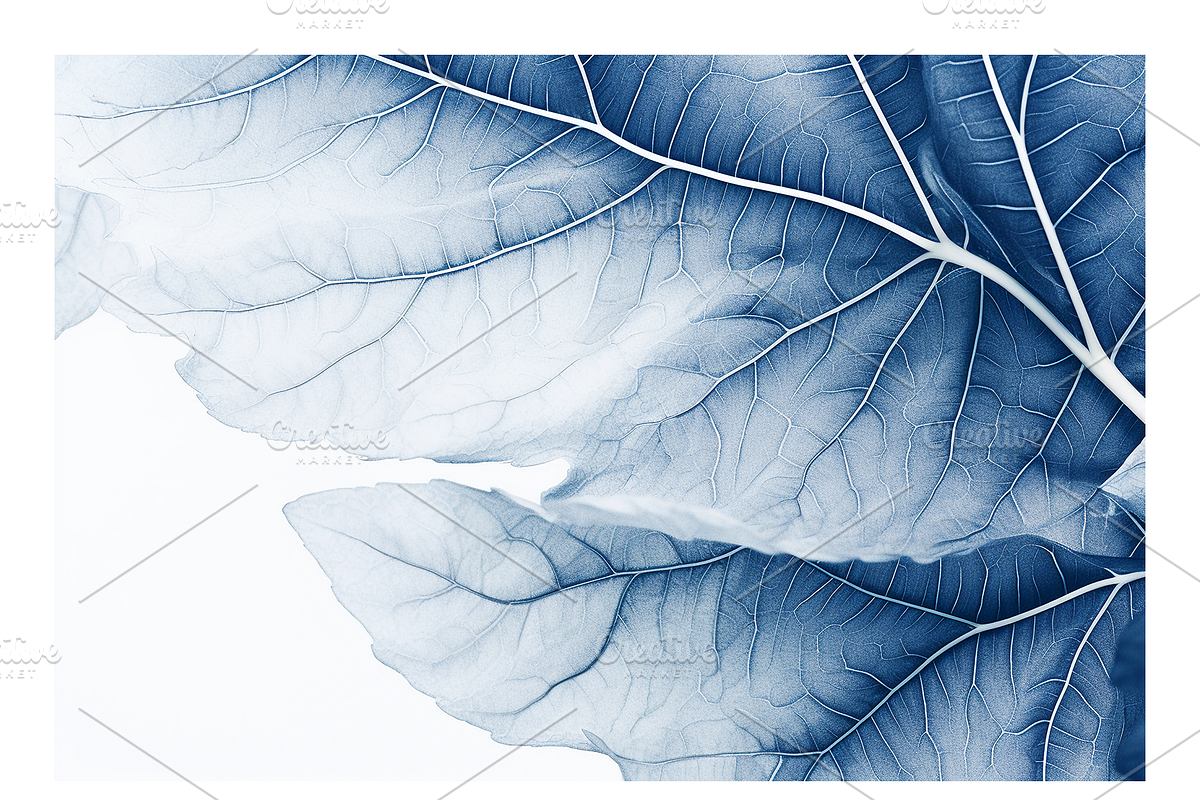 Cyle Collection · Blue Tone Leaves, a Background Graphic by milatovar (Photo 8 of 32)