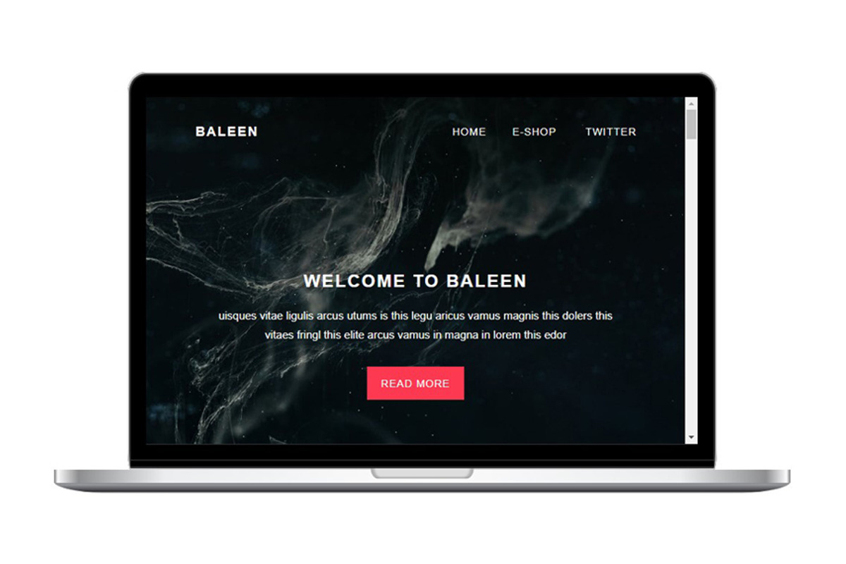 Baleen - Responsive email template, an Email Template by QuickArtisan (Photo 1 of 5)