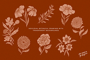Hand-Drawn Floral Pack, an Illustration by Drawn By Arianna (Thumbnail 2 of 6)