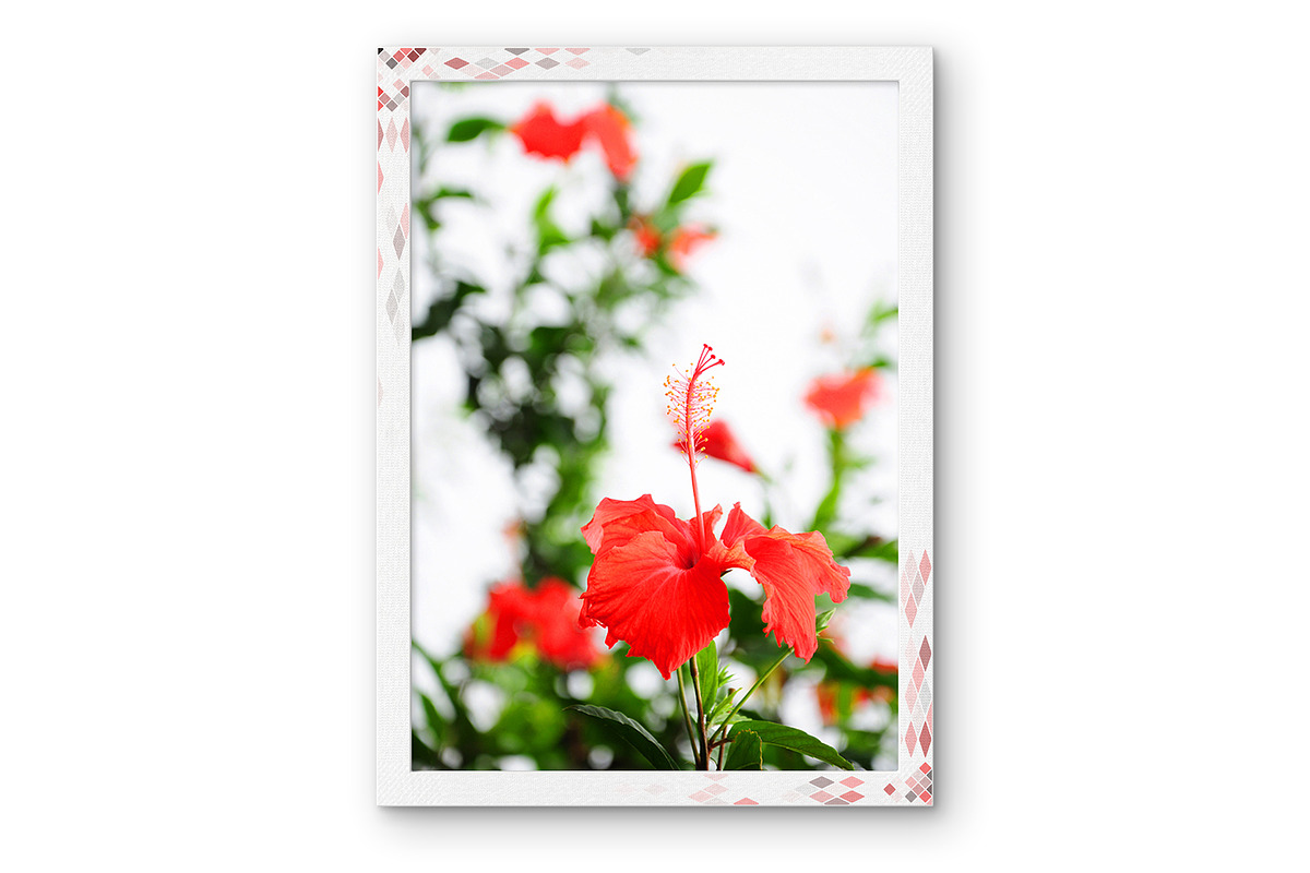 Red Floral Decor - Hibiscus Wall Art, a Nature Photo by VietArtworks (Photo 1 of 6)