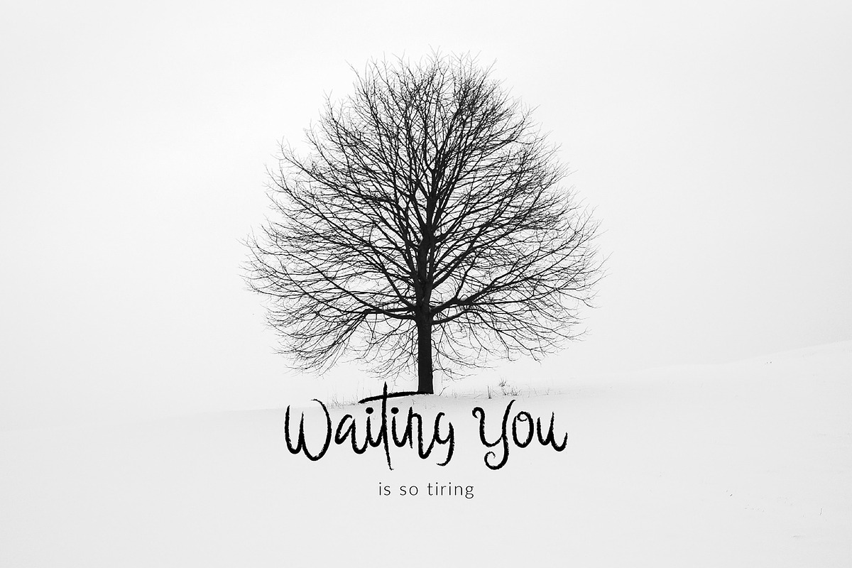 Thunder After Snow Brush Font, a Script Font by Dicubit (Photo 2 of 10)