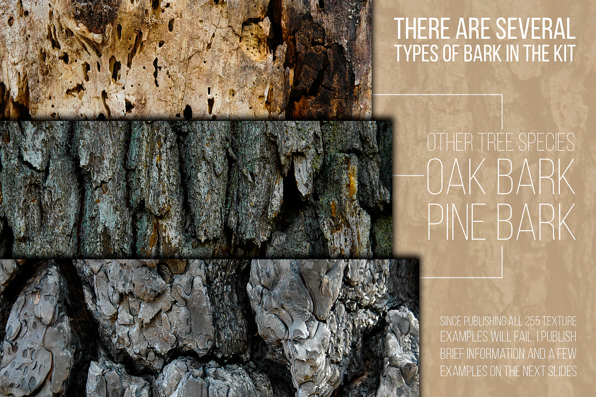 Woody Bark Textures, a Texture Graphic by Norse Moss (Photo 2 of 8)