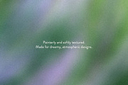 Etudes in Bloom - Blurry Backgrounds, a Background Graphic by Dina Mae (Thumbnail 11 of 13)