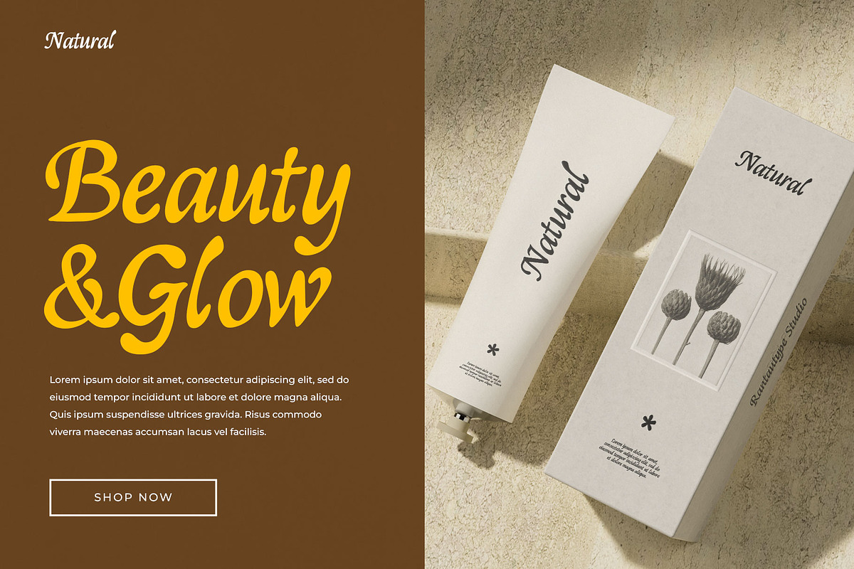 Resolia Classy Display Font, a Script Font by RantautypeStudio (Photo 2 of 13)