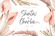 Gellatio - Chic Brush Font, a Script Font by din-studio.com (Thumbnail 13 of 16)