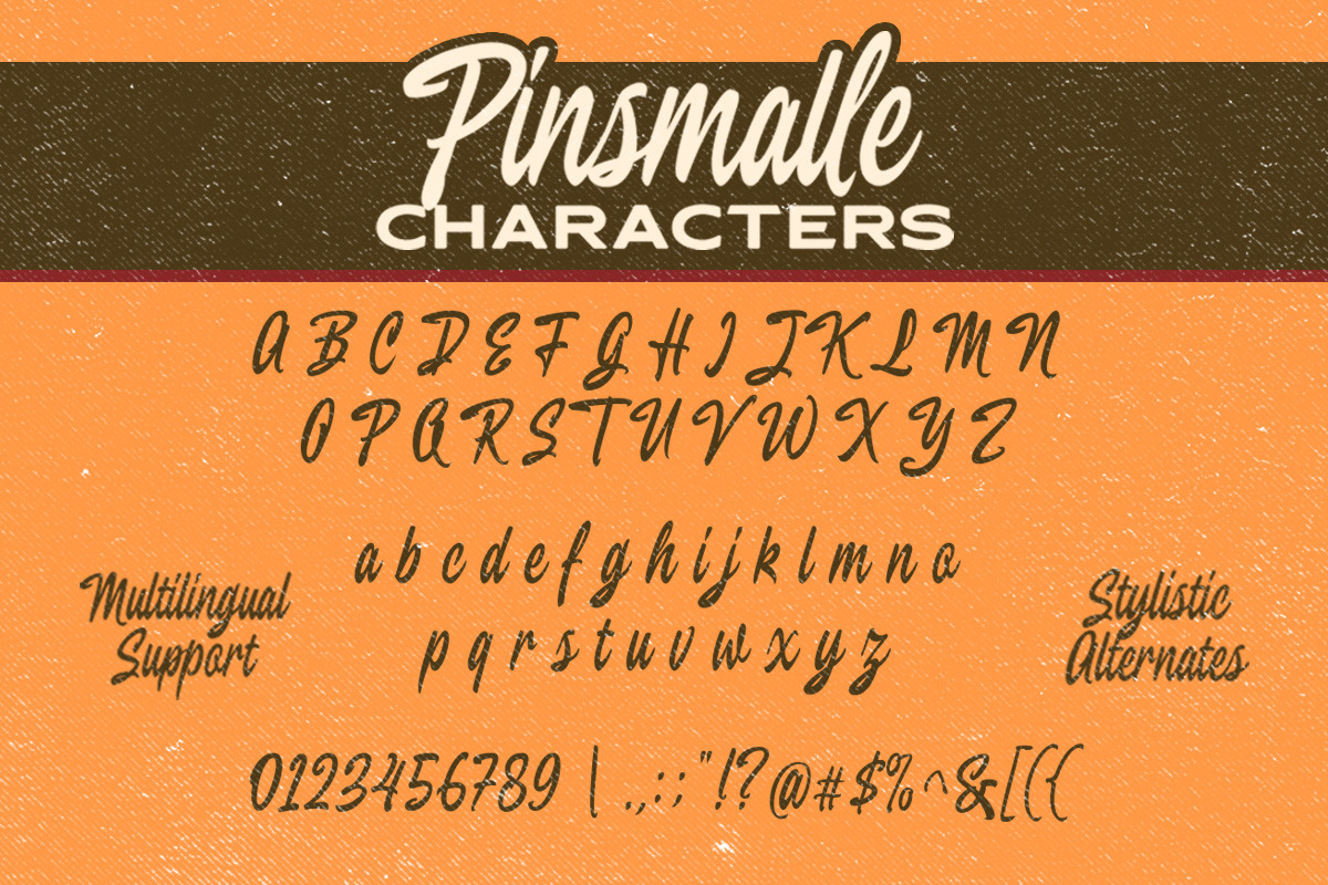 Pinsmalle - Vintage Script, a Script Font by Letterhend Studio (Photo 5 of 9)