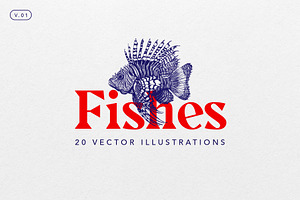 Hand-Drawn Vector Fish Illustrations
