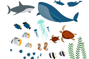 Ocean Animals And Fishes