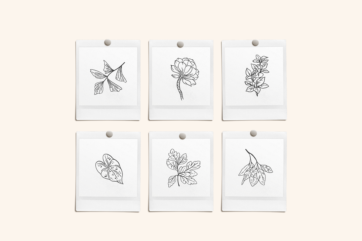 Greenery Sketchbook Illustrations, a Decorative Illustration by Emma Webb Studio (Photo 6 of 7)