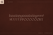 Gleed - minimal serif typeface, a Serif Font by Only Fonts (Thumbnail 9 of 10)