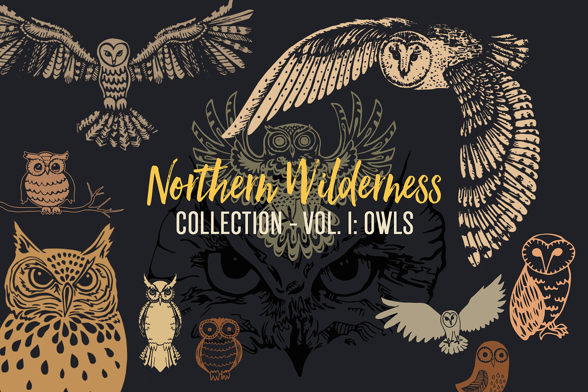 Northern Wilderness Collection: Owls, an Animal Illustration by Barn Owl Studio (Photo 1 of 5)