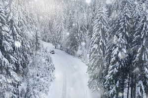 Car rides on snowy forest road stock photo containing landscape and forest