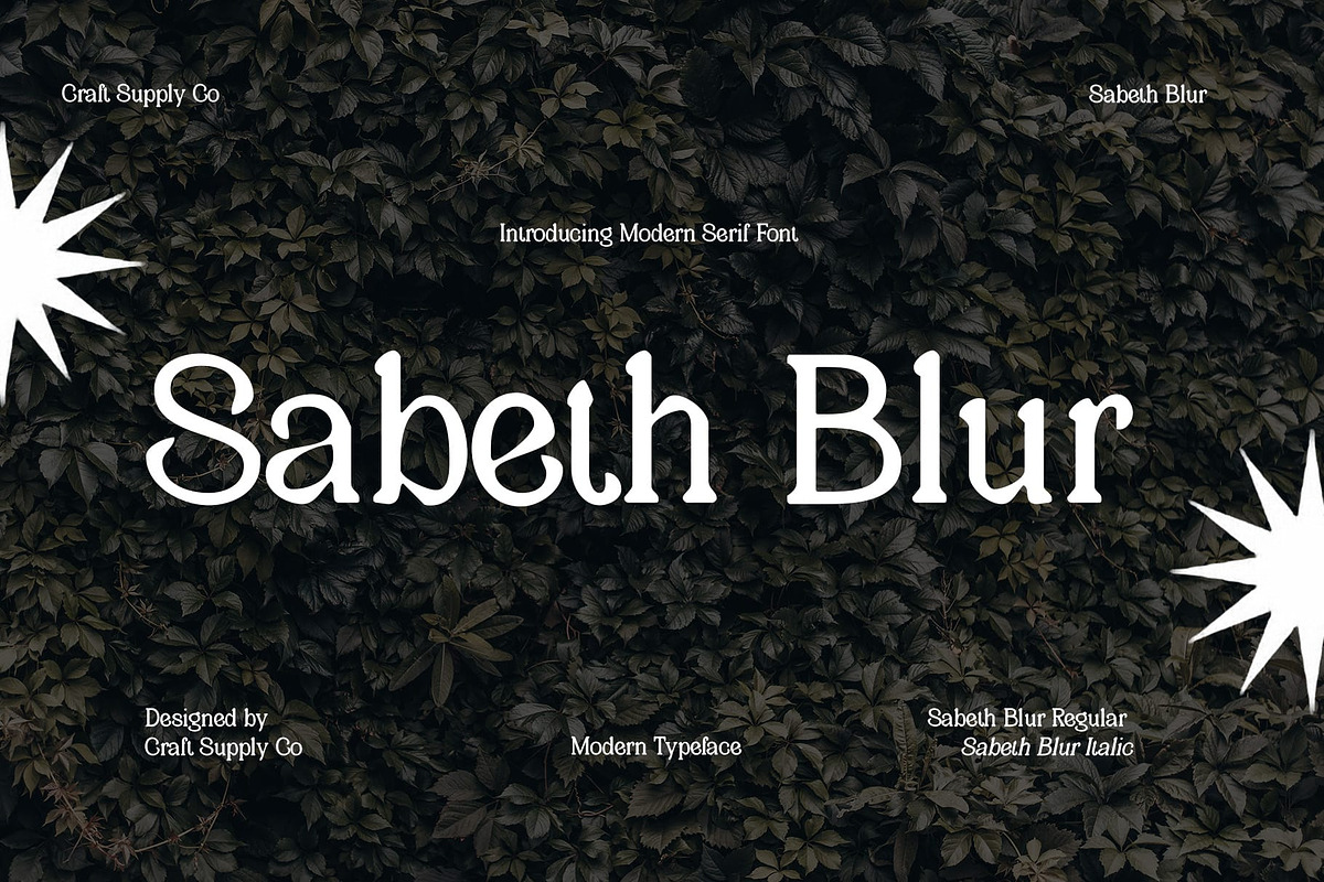 Sabeth Blur, a Serif Font by Craft Supply Co. (Photo 1 of 8)