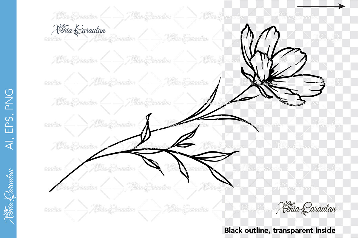 Fine Line Birth flowers Collection, an Illustration by CaraulanStore (Photo 4 of 8)