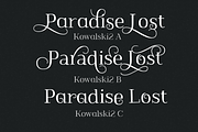 Kowalski2 family, a Serif Font by Leitmotif (Thumbnail 5 of 5)
