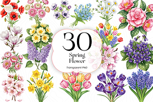 Spring Flower PNG Clipart Watercolor, an Object Illustration by KennedyStudio