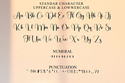 Chasing Hearts, a Handwritten Font by FreshTypeINK (Thumbnail 4 of 8)
