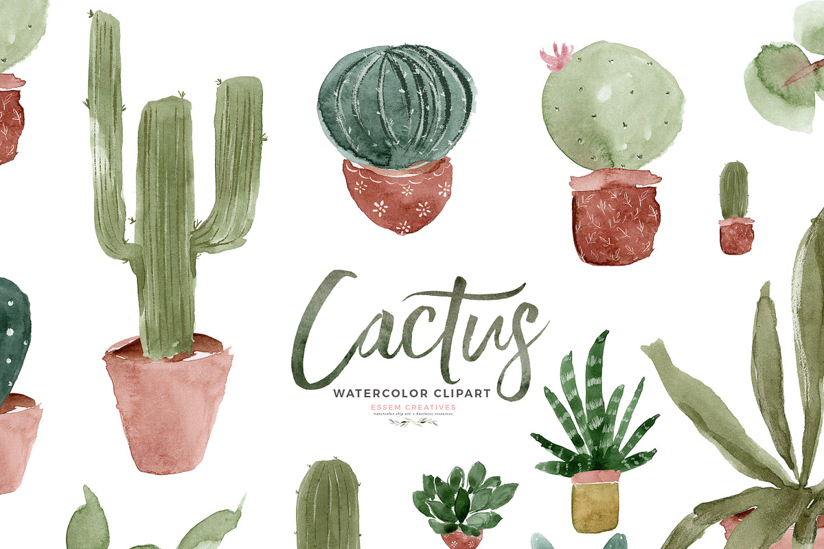 Watercolor Cactus Cacti Clip art PNG, an Illustration by Essem Creatives