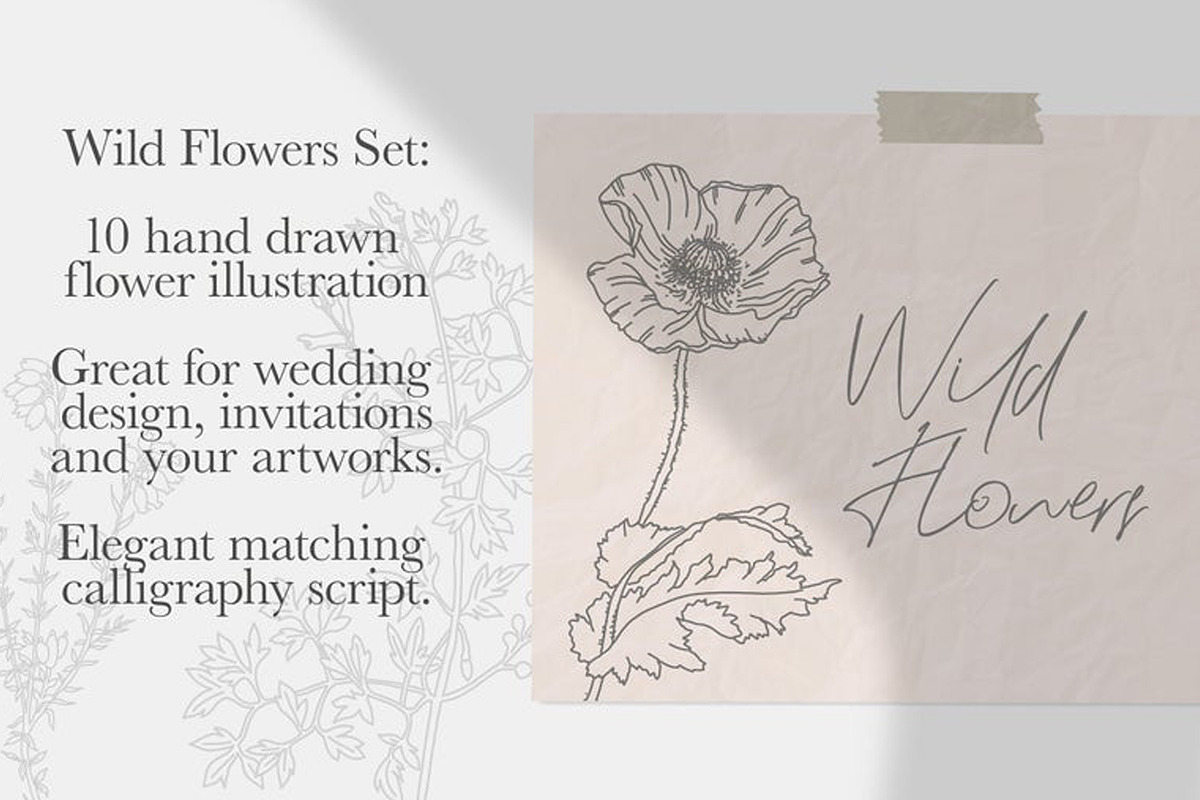 Botanical Clip Art Wild Flowers PNG, an Illustration by MakeMyPlaceDesign (Photo 2 of 3)