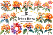 Watercolor Lantana Flower Clipart, an Illustration by SinaCreation (Thumbnail 1 of 5)
