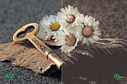 Vintage Photoshop Actions 180 Bundle, an Action Add-On by ARTNEST (Thumbnail 5 of 13)