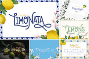 The HUGE Font Bundle (98% OFF) SALE, a Sans Serif Font by Salt & Pepper Designs (Thumbnail 70 of 185)
