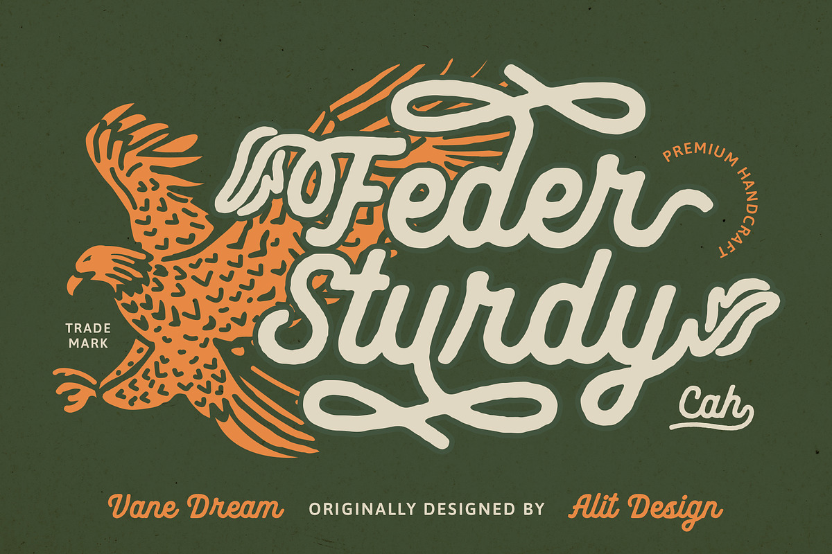 Vane Dream Typeface, a Script Font by alit design (Photo 6 of 15)