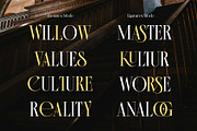 Morside - Modern Classic Serif, a Serif Font by Arterfak Project (Thumbnail 11 of 14)